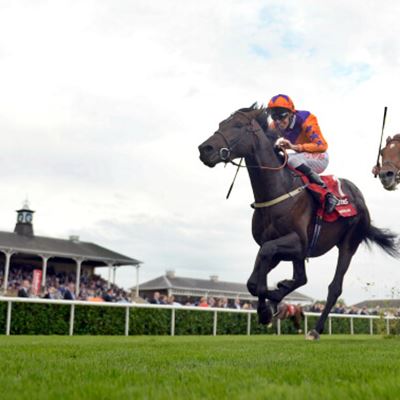 Each Way Value Tips 